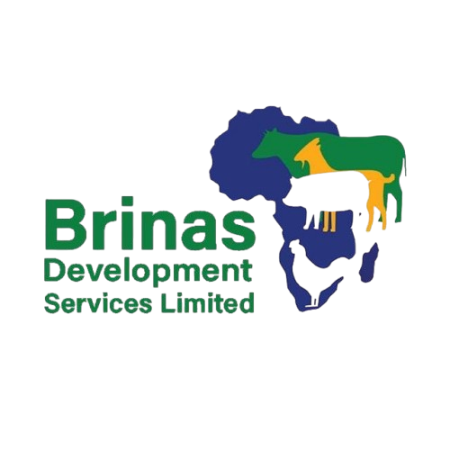 487380864_1192826279513989_7573398704734498822_n-removebg-preview 487380864_1192826279513989_7573398704734498822_n-removebg-preview