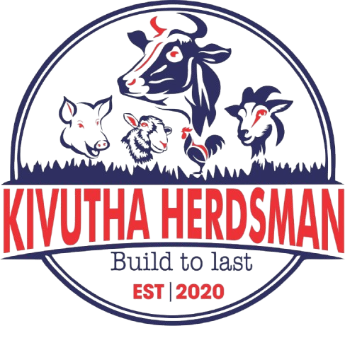 WhatsApp_Image_2025-07-31_at_23.34.01-removebg-preview WhatsApp_Image_2025-07-31_at_23.34.01-removebg-preview